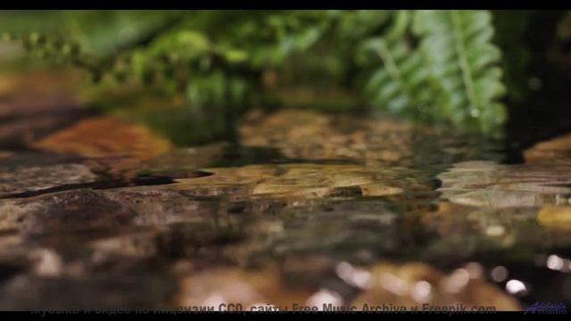 Музыка создаёт внутри личный космос из чувств - Bush Week -- Nihilore -- Broken Parts