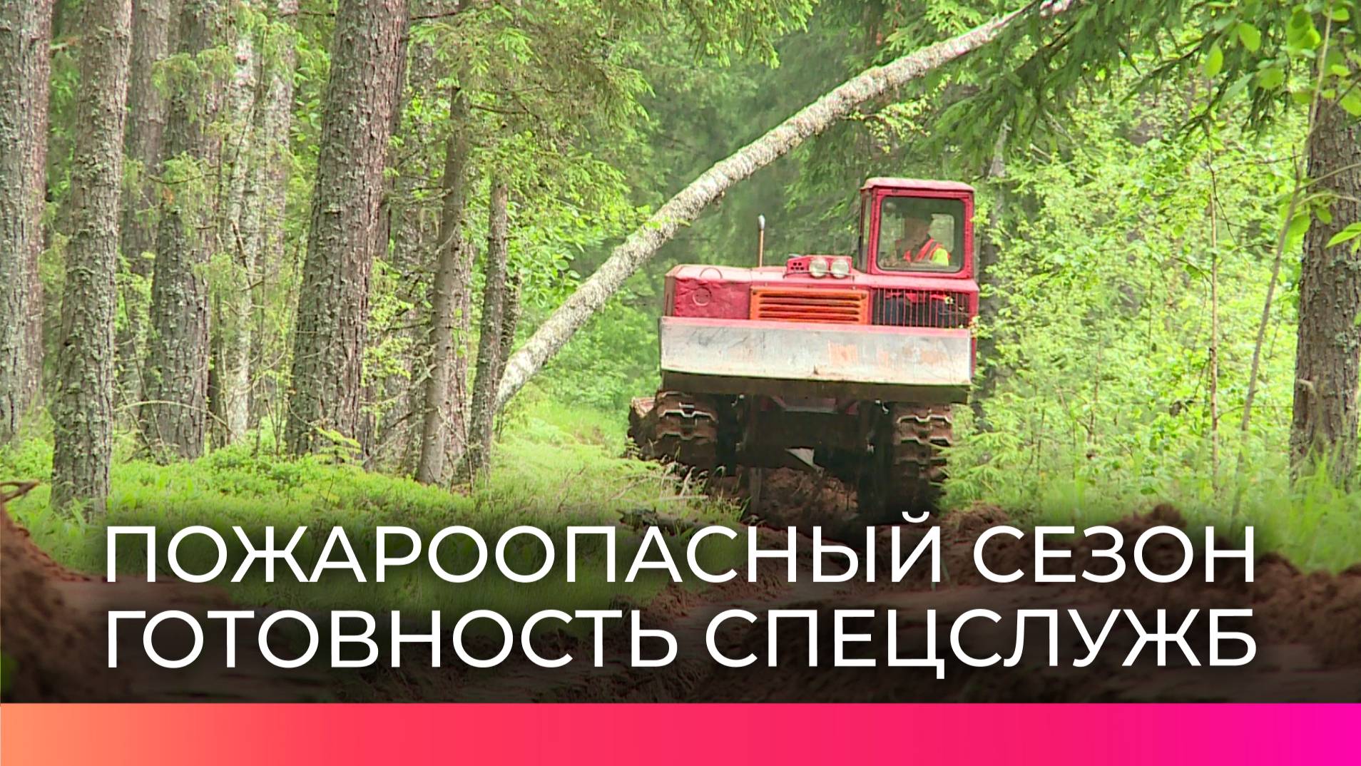 Новгородские леса готовят к пожароопасному сезону: профилактика в разгаре