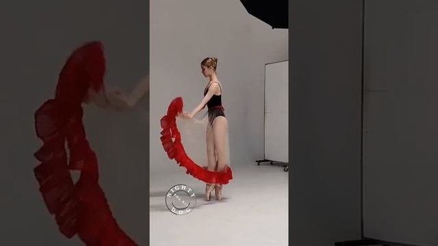 Фотомоменты.

1000017938.mp4