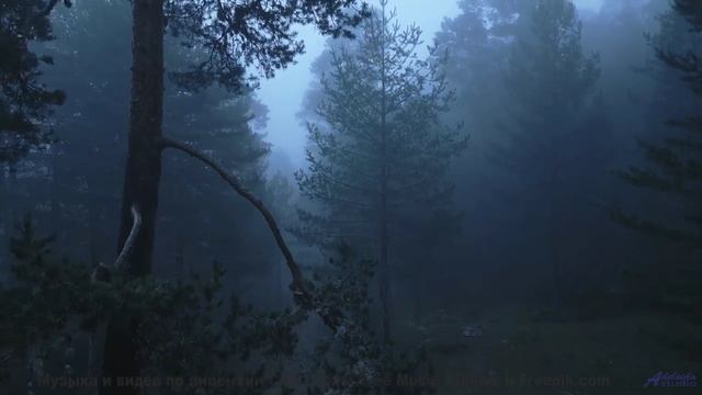 Мелодии, которые превращают обычную поездку в свидание с миром - Похмелье (feat. Maslёnock) -- POVAL