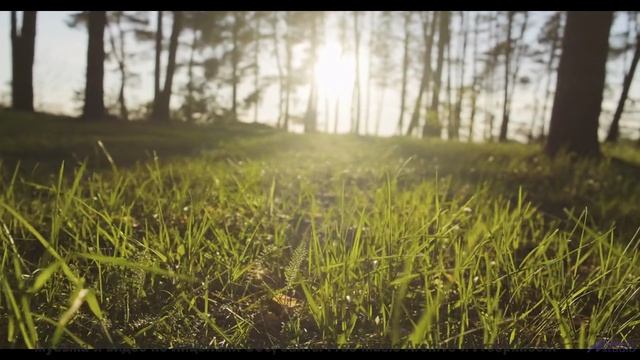 Эта мелодия программирует ваше подсознание - осторожно! - Sunset Moments -- Scott Holmes Music -- Mu