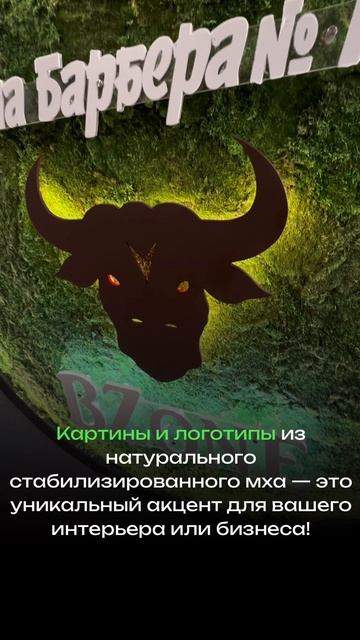 Логотип из стабилизированного мха с подсветкой для «Школа барбера»