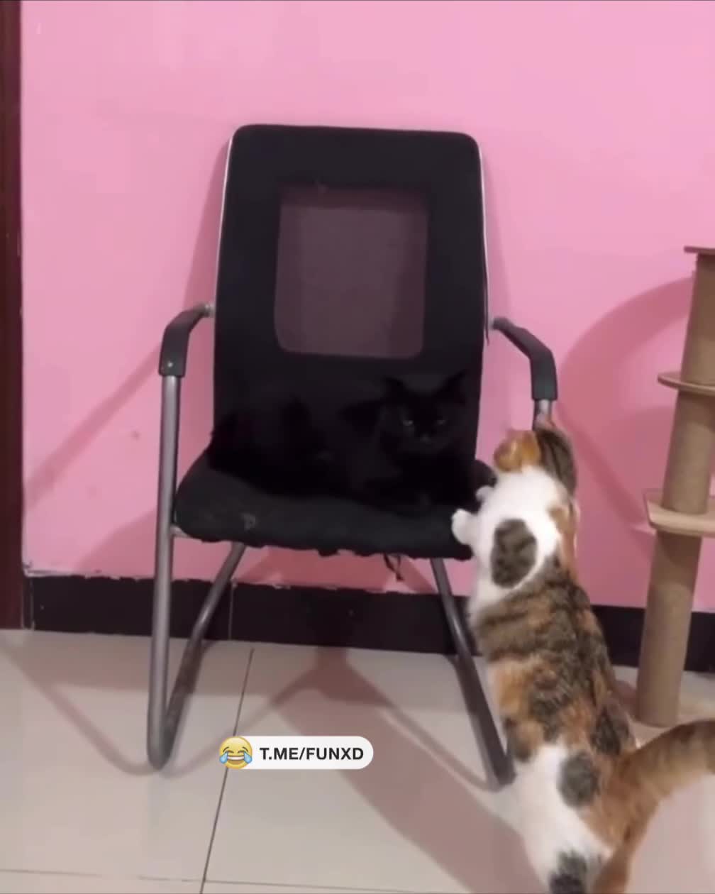 Свалил отсюда!😄