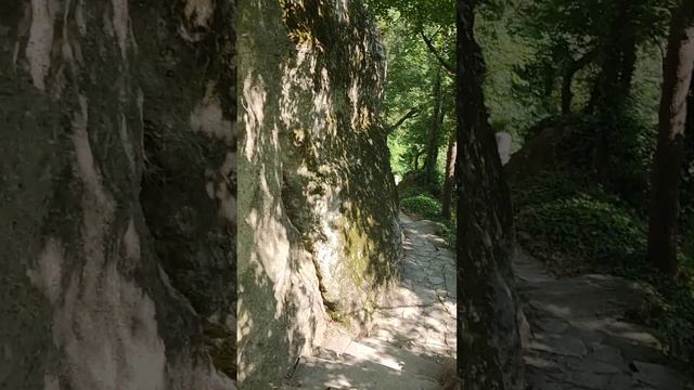 Идем к Пещере тенистыми тропами