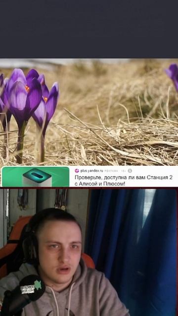 Погружение в ДНД Альтея 4