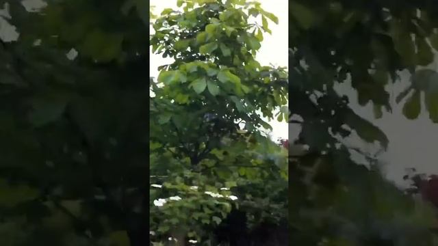Снимаем видео с iPhone4