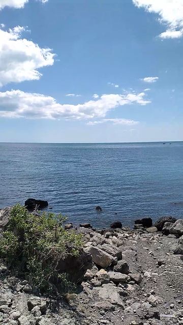 Идём по тропе Галицина к горе Дельфин 🐬 на Чёрном море в Новом Свете