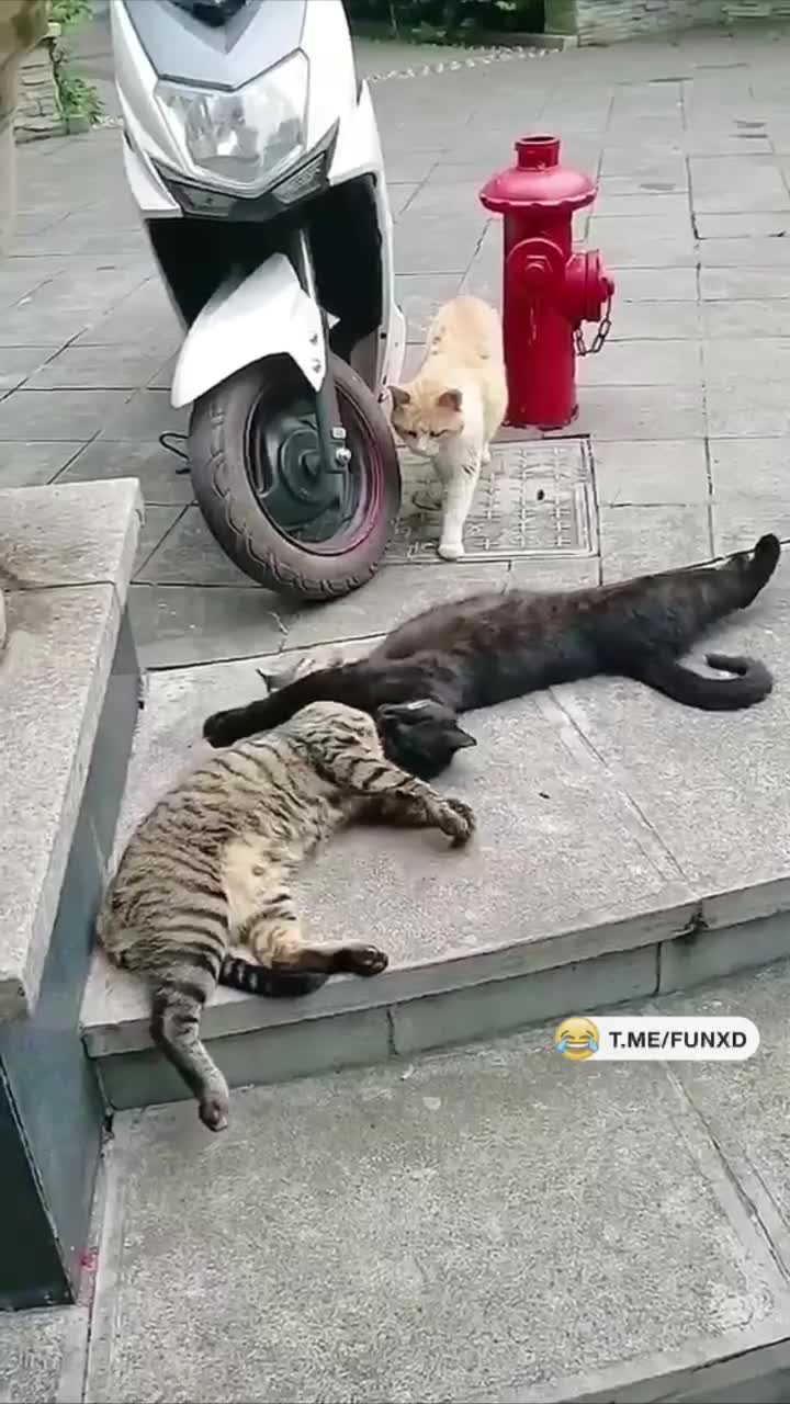 Муж вернулся😆