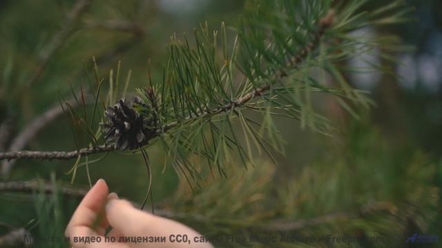 Кадры, снятые на камеру 3023 года - технологии будущего уже здесь! - Lost-On-Country-Roads -- Ketsa
