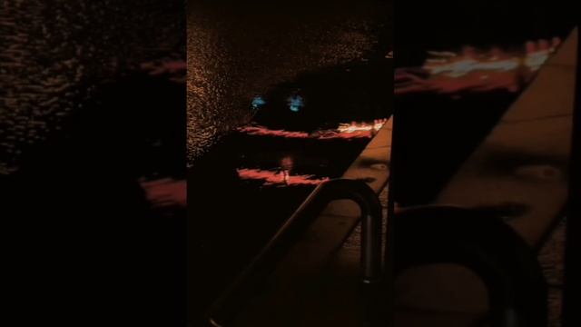 video_2025-06-19_01-40-01