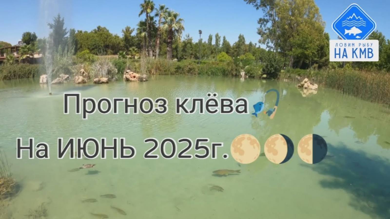 Прогноз клёва🎣. Лунный календарь рыбака🌕🌗🌖 на июнь 2025г.
