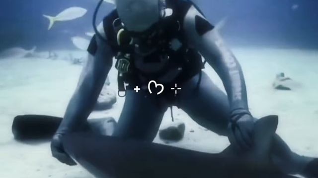 💙🩵🫧