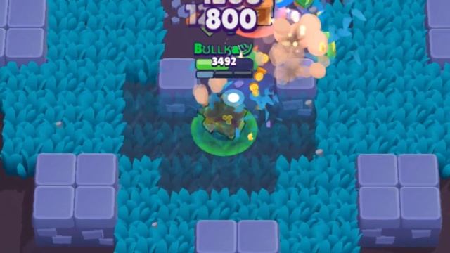 Поззи ДО И ПОСЛЕ! НОВЫЙ БРАВЛЕР ГРИФФ СИЛА 10