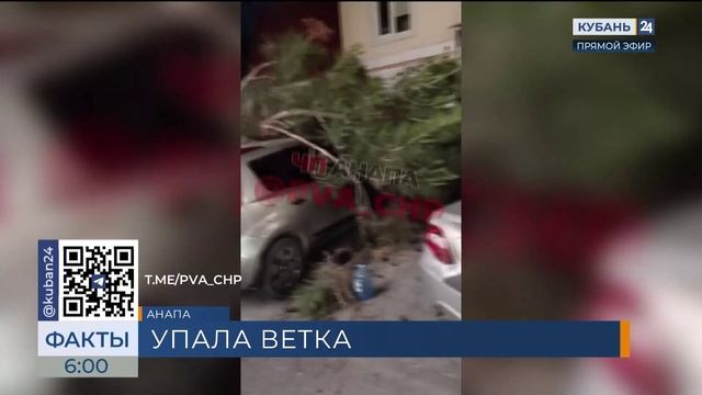 Упавшая ветка повредила автомобили и оставила улицу без света в Анапе