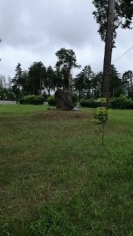 После дождичка в четверг..