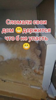 2025-06-19-005212979.mp4