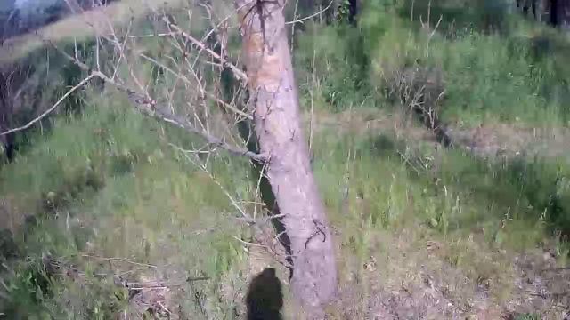 Покатушки на природу №36.😊