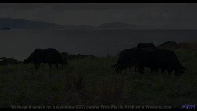 Глаза цепляются за кадры, уши ловят каждый аккорд - Soudain -- Juniore -- Live at WFMU for Sophistic