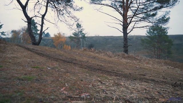 Включите этот трек - и пусть тело движется в ритме любви! - Scaffold of Repeated Addition -- One Man