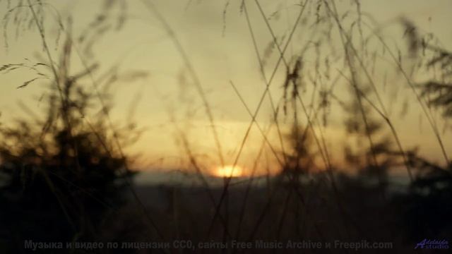 Музыка наполняет сердце миром при каждом ритме - Nothing at All -- Delay 77 -- Dont Stare at the Sun