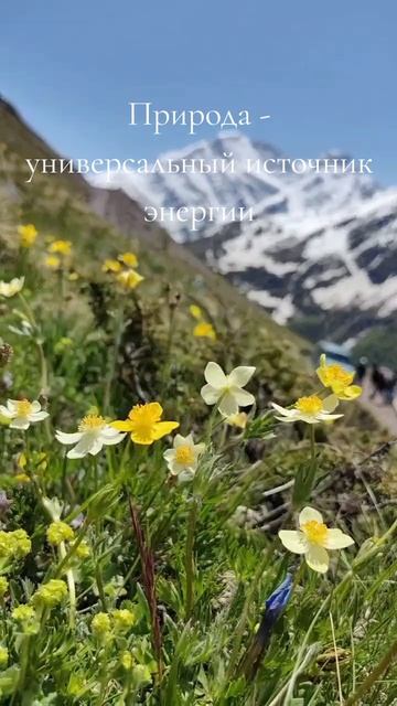 ПРИРОДА - ИСТОЧНИК ЭНЕРГИИ И ВДОХНОВЕНИЯ 🏞️