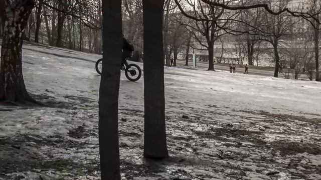 Charger 2000 fat bike