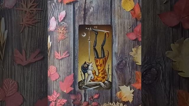 Для начинающих.Таро безумной луны.Семерка Мечей