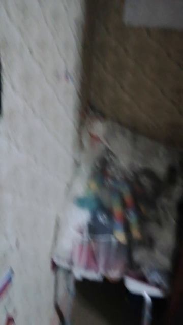 VID_20250619_165521.mp4