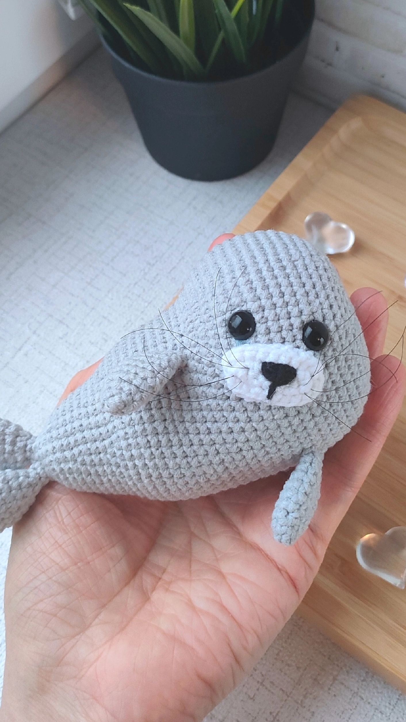 Морской котик