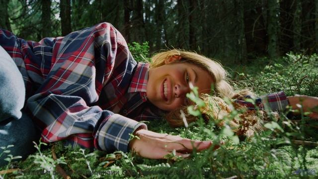 Видео, сжатое до квантовых битов - технологии за гранью! - Rain _ Sleep _ Meditation -- HoliznaCC0 -
