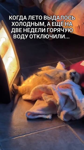 оооой