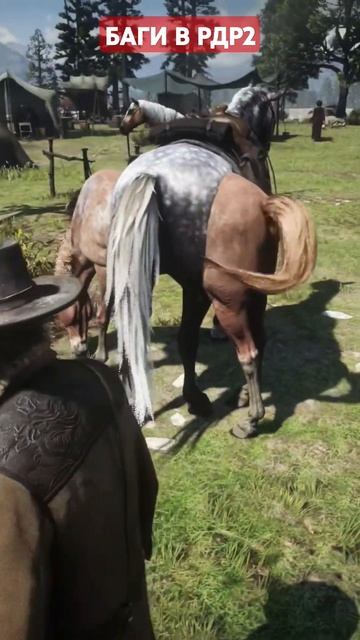 БАГИ. ФЕЙЛЫ В РДР2 #rdr2 #баги #фейлы #areshino #shorts
