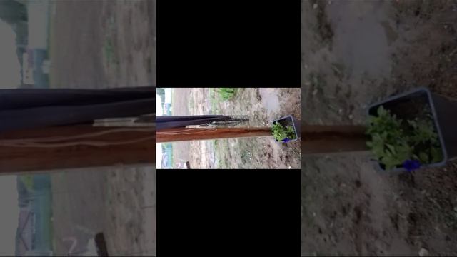 обзор на полку