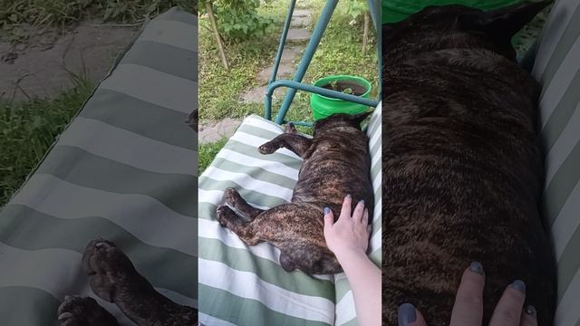 Кайфуем на даче)