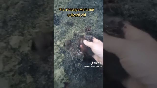 Делаю высокие грядки. Отсекаю землю от бревен поликарбонатом. часть 4. #высокиегрядки  #дача #огород