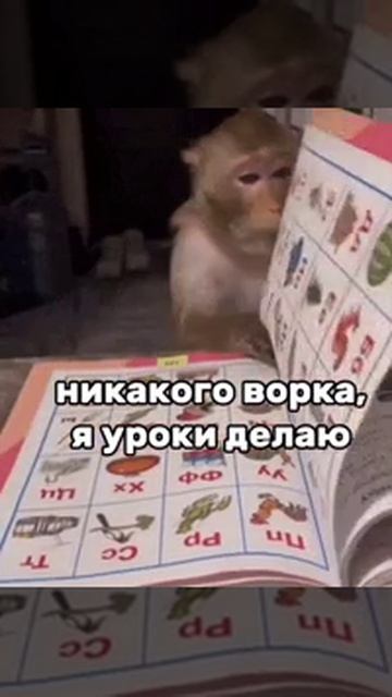 чисто я делаю уроки 🤣
