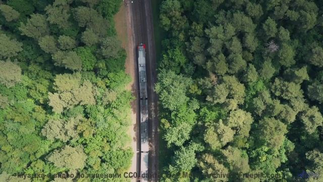 Природа раскрывает тайны, когда играет такой саундтрек - Corporate Vision -- Scott Holmes Music -- C