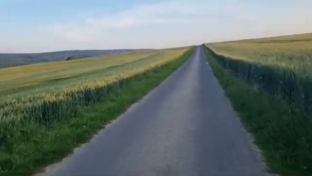 Бефусь. 11.06.2025 Отчёт за день Худею на 3 кг за месяц