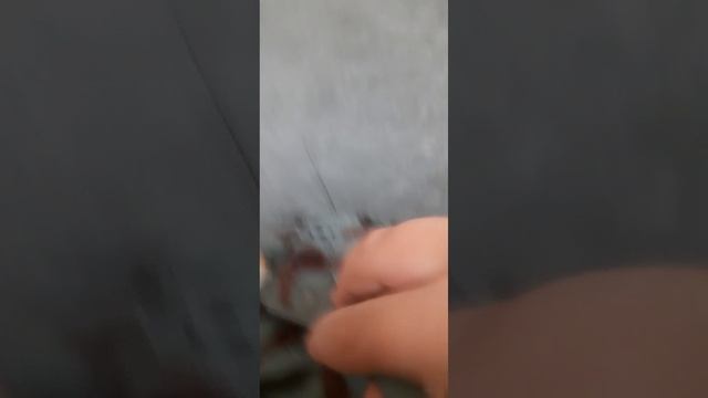 20250619_181011.mp4