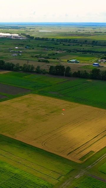 Landing geoscan 201M #top #drone #dronefly #shorts #geoscan #autelrobotics #trending #viral