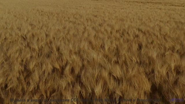Что на самом деле происходит в этом видео Ответ вас шокирует! - Celebrate -- Derek Clegg -- Man on t