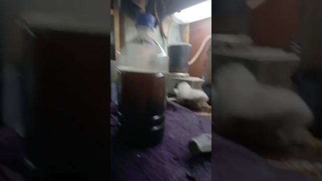 Осветление пиролизного топлива