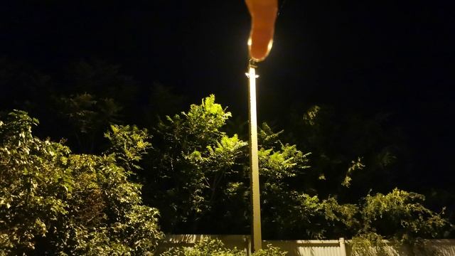 Ветер, деревья, ночь