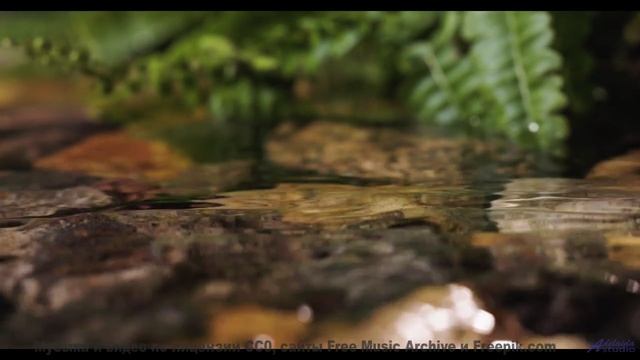 Это видео - как новогоднее чудо в ваших наушниках! - Symphony No. 1 I. Hope -- Steve Combs -- Sympho
