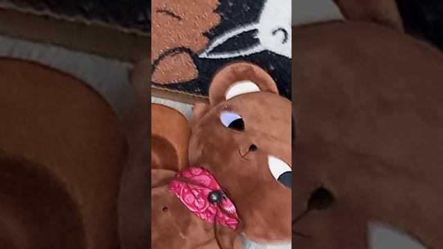1000000257.mp4