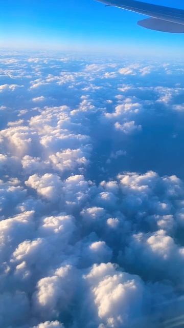 Плывем над облаками #top #b777 #boeing #boeing777 #sky #aircraft #trending #viral