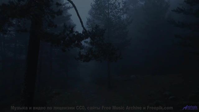 Этот трек - как компас в мире зелёных чудес! - Shastakovitch -- New Millennium String Band -- NMSB