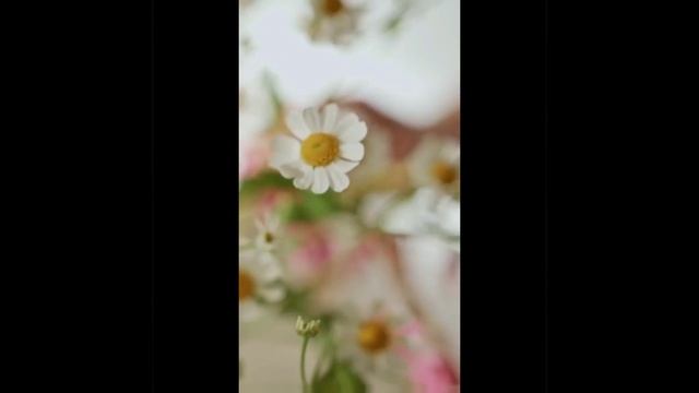 Домашний Уют