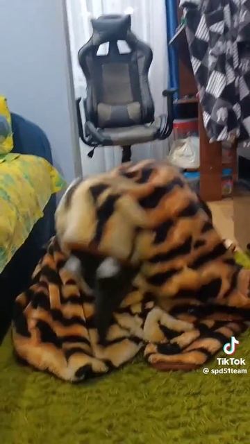 родственник анонимуса