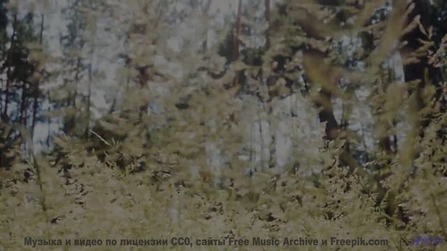 Поля наполняются жизнью вместе с этим саундом - j-aime la musique -- Jean Toba -- first times